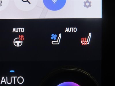 2024 Toyota ALPHARD 照片 10
