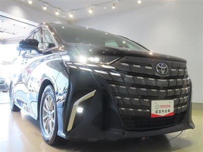2024 Toyota ALPHARD 缩略图 29