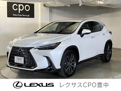 LEXUS NX - 1