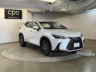 LEXUS NX - 10