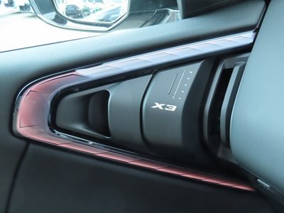 صورة مصغرة 66 لـ 2025 BMW X3