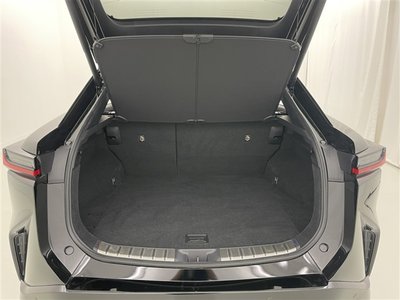 2023 Lexus RZ — миниатюра 14
