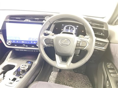 2023 Lexus RZ photo 7
