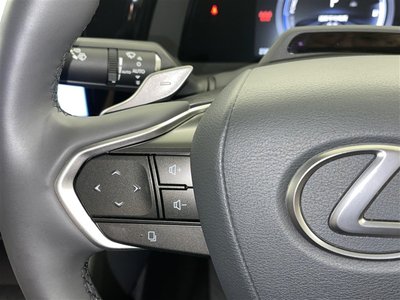 2023 Lexus RZ photo 10