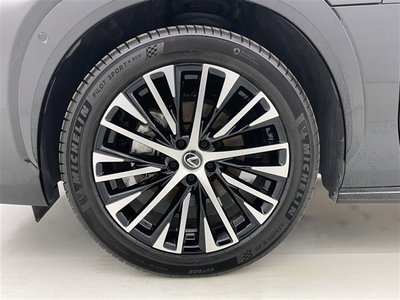 2023 Lexus RZ photo 6
