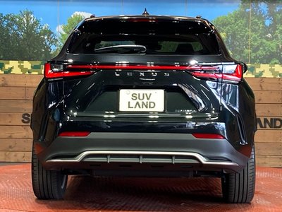 2023 Lexus NX 缩略图 15