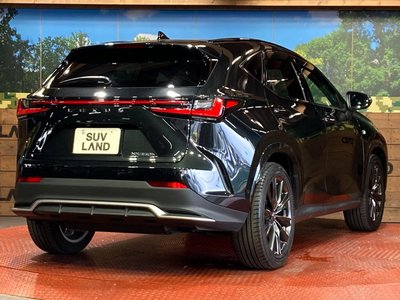 2023 Lexus NX 缩略图 17