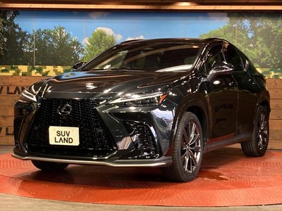 2023 Lexus NX 缩略图 26