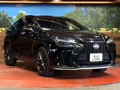 2023 Lexus NX 缩略图 16