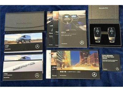 2026 Mercedes-BENZ G-CLASS AMG 照片 4
