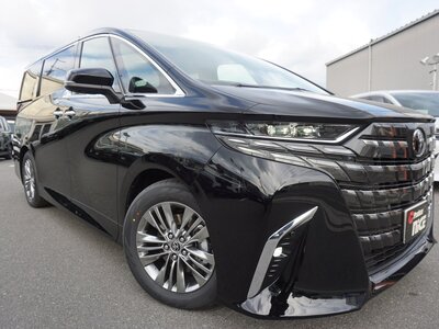 TOYOTA ALPHARD - 8