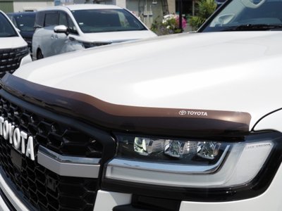2023 Toyota LAND CRUISER 300 缩略图 18