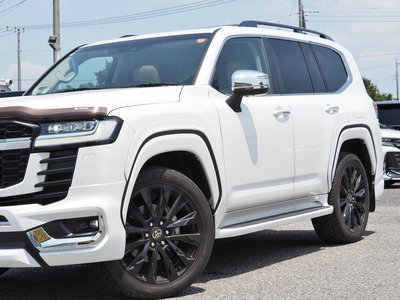 2023 Toyota LAND CRUISER 300 缩略图 15