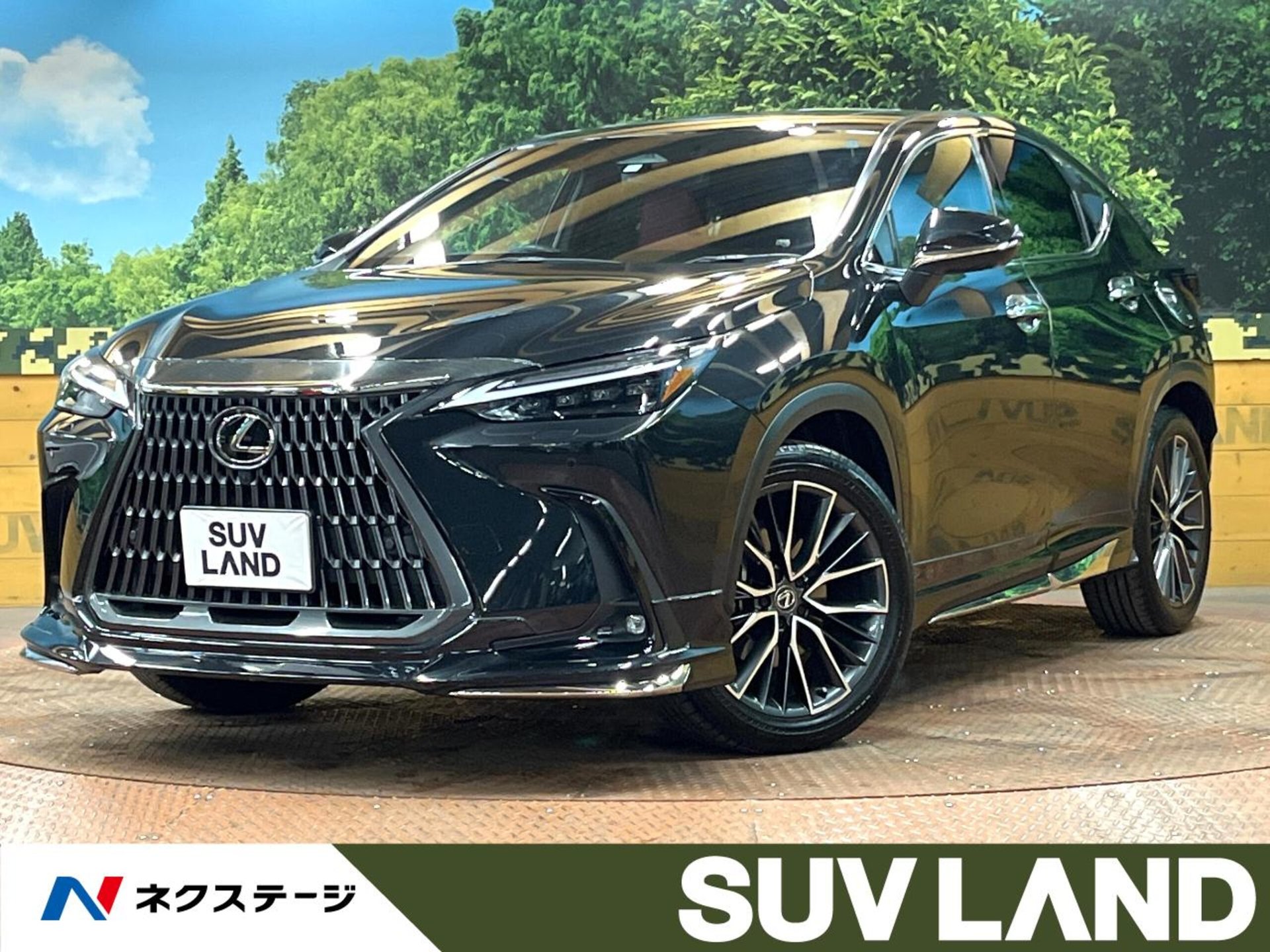 LEXUS NX - View 1