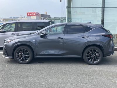 2022 Lexus NX 照片 2