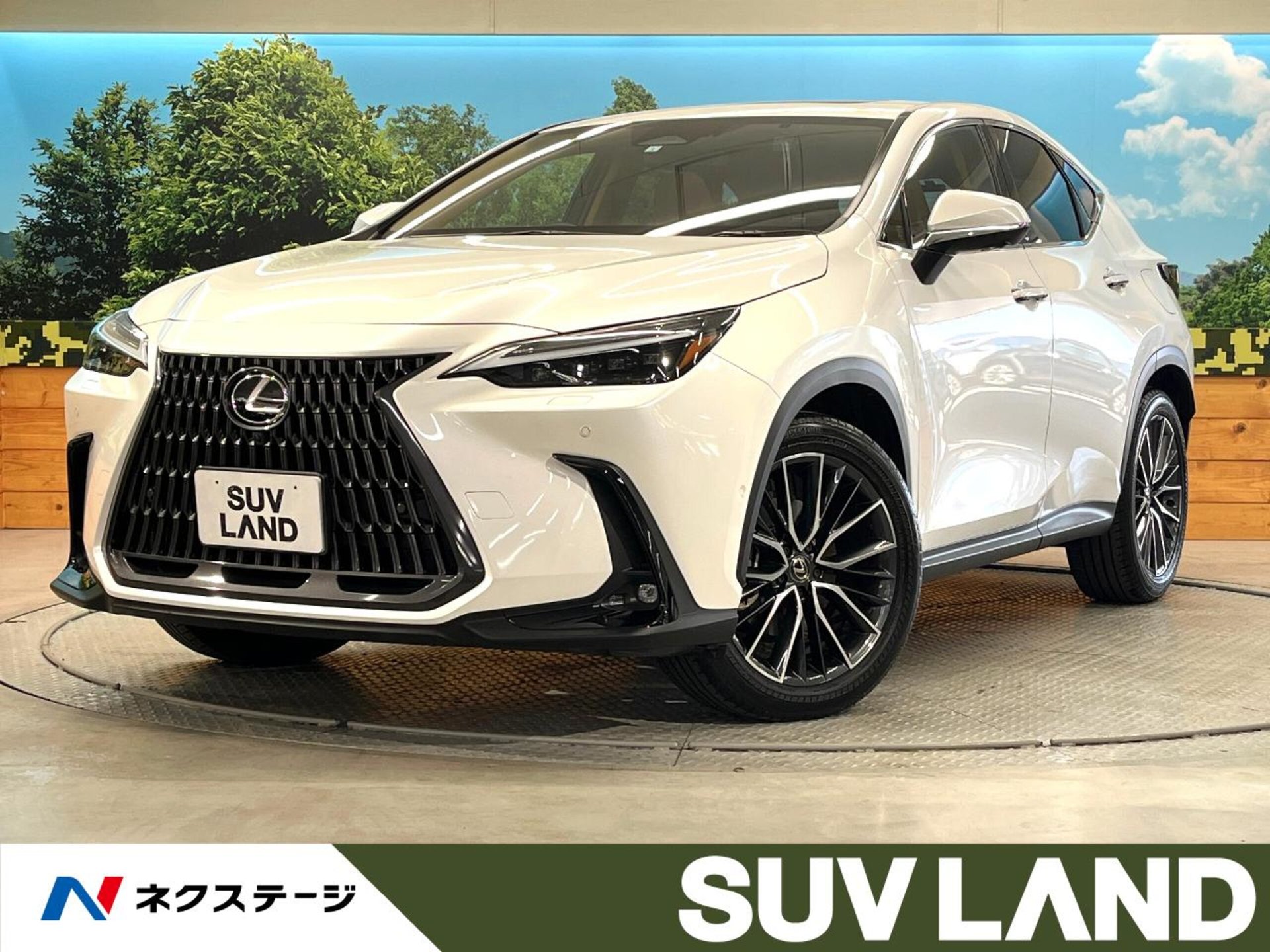 LEXUS NX - View 1