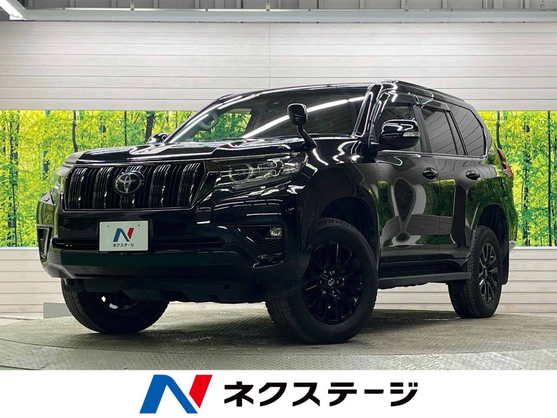 TOYOTA LAND CRUISER PRADO - View 1