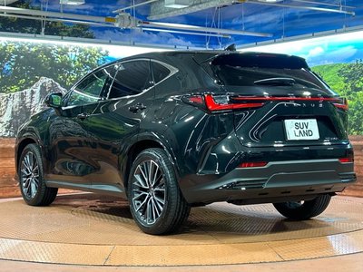 2025 Lexus NX — миниатюра 29