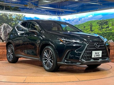 2025 Lexus NX — миниатюра 16