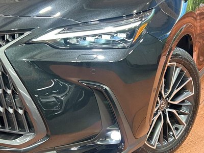 2025 Lexus NX — миниатюра 12