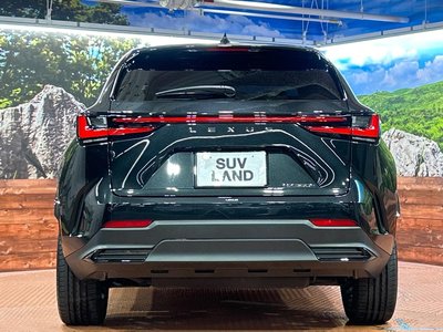 2025 Lexus NX — миниатюра 15