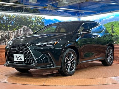 2025 Lexus NX — миниатюра 27