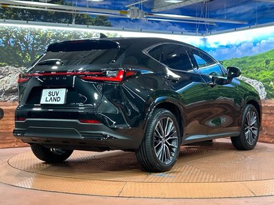 2025 Lexus NX — миниатюра 17