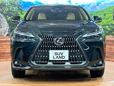 2025 Lexus NX — миниатюра 14