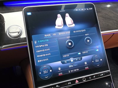 2022 Mercedes-BENZ S-CLASS — миниатюра 31