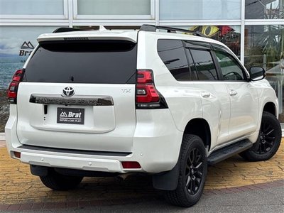 2021 Toyota LAND CRUISER PRADO — фото 10