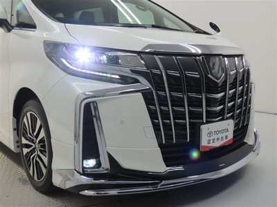 2022 Toyota ALPHARD thumbnail 18
