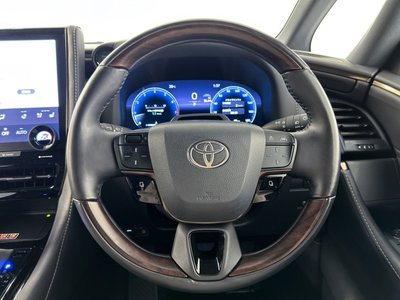 2025 Toyota ALPHARD 缩略图 30
