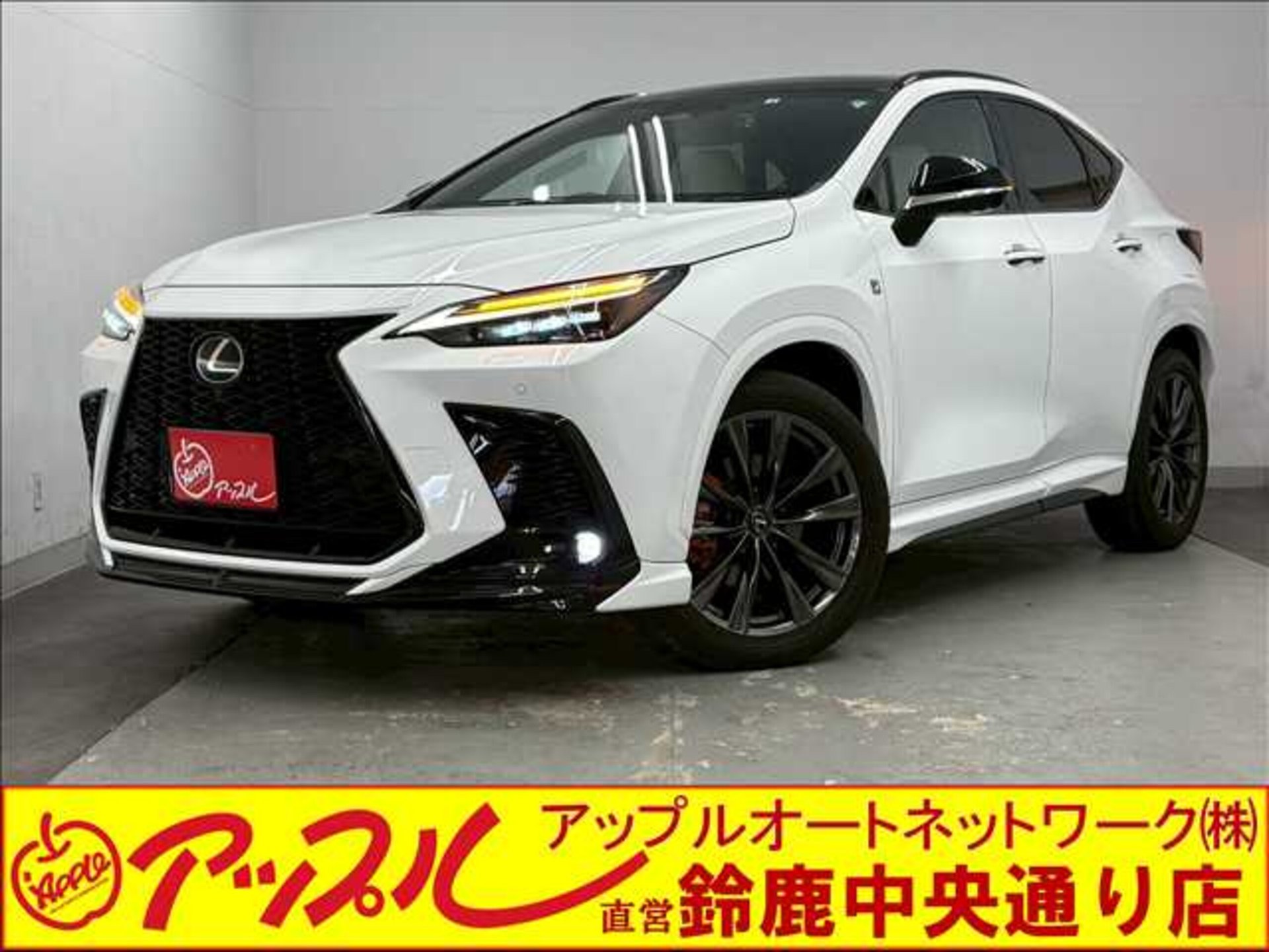 LEXUS NX - View 1