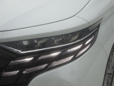 2024 Toyota ALPHARD thumbnail 19