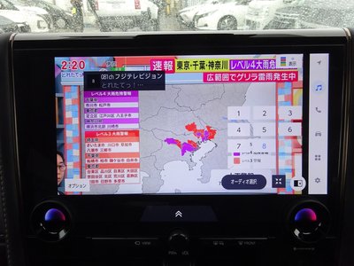 2024 Toyota ALPHARD thumbnail 24
