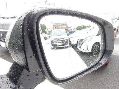 2024 Toyota ALPHARD thumbnail 20