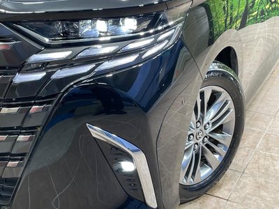 2025 TOYOTA ALPHARD thumbnail 13