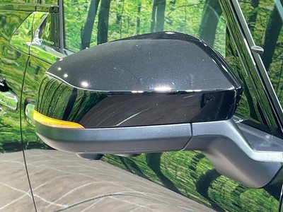 2025 TOYOTA ALPHARD thumbnail 29