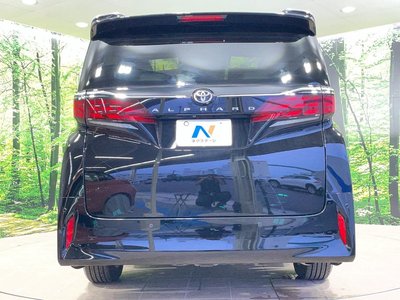 2025 TOYOTA ALPHARD thumbnail 16