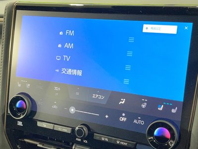 2025 TOYOTA ALPHARD thumbnail 35