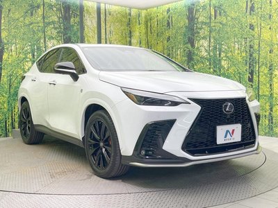 2023 Lexus NX 缩略图 16