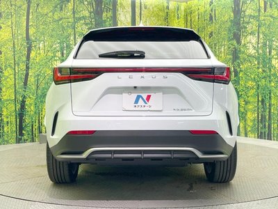 2023 Lexus NX 缩略图 15