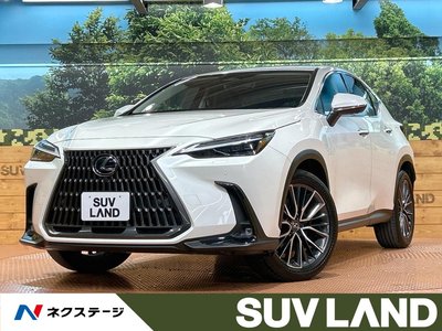 LEXUS NX - 1