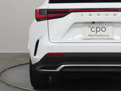 2022 Lexus NX 照片 9