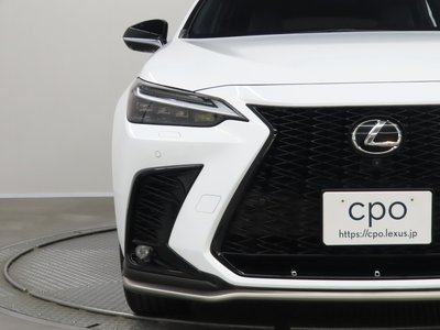 2022 Lexus NX 照片 8