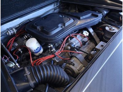 1981 Ferrari 308 照片 15