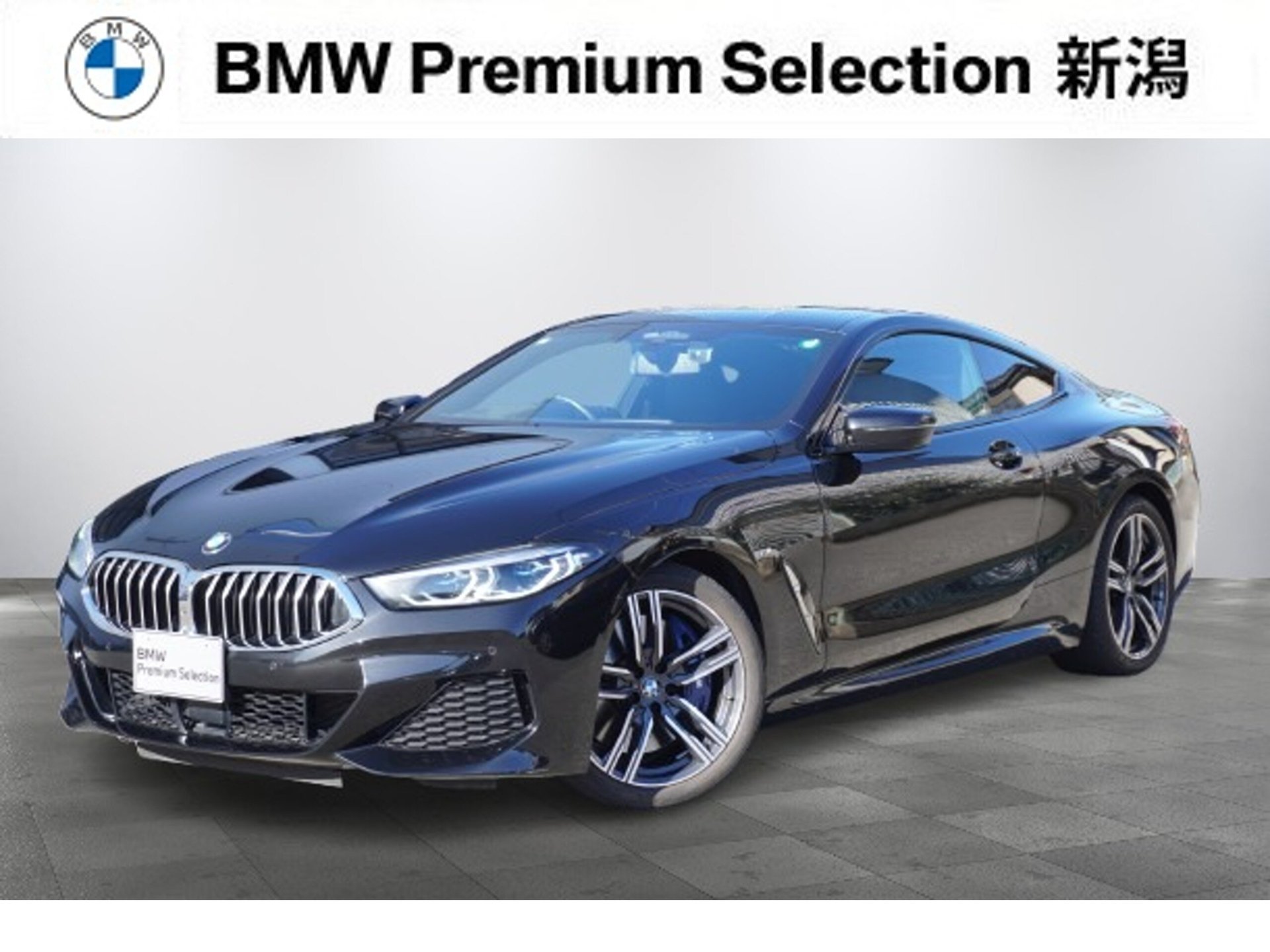 BMW 8 SERIES - View 1
