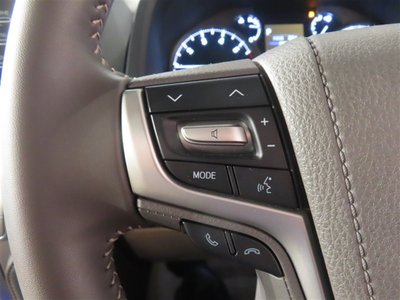 2022 Toyota LAND CRUISER PRADO 缩略图 14