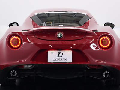 2015 ALFA Romeo 4C 照片 19