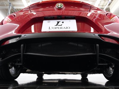 2015 ALFA Romeo 4C 照片 25